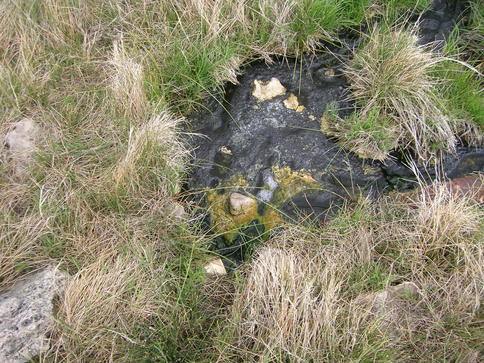 GRAND LIFE LUKE'S HOT POTS