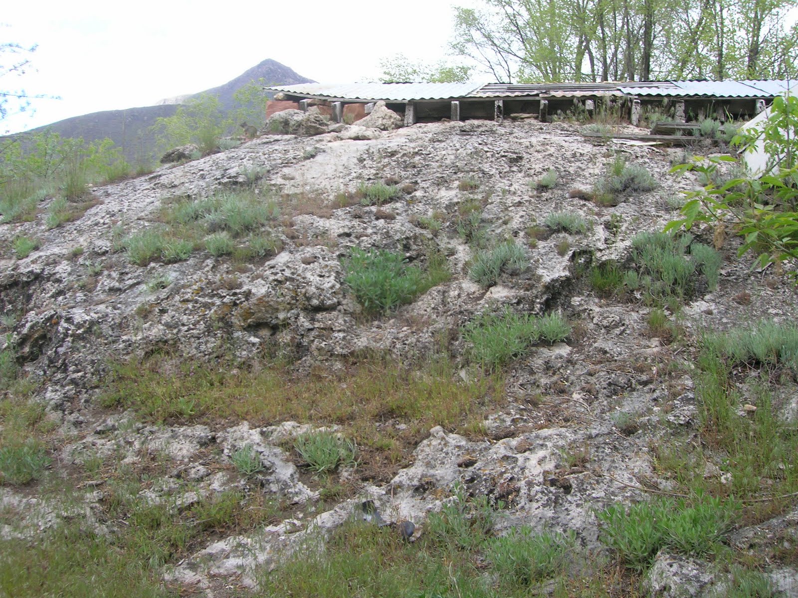 GRAND LIFE LUKE'S HOT POTS