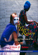 THE THORN ROSARY: Selected Prose Poems & New (1998-2010)