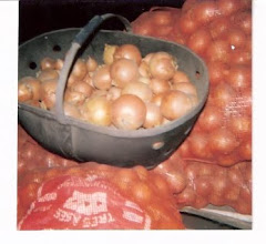 Valle Inferior del Rio Colorado