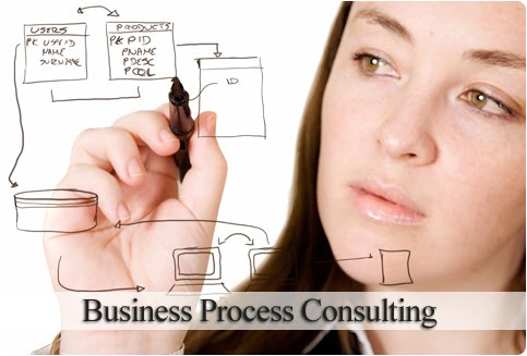 WHATEVER!!!!: PROCESS CONSULTING FOR SMALL AND MEDIUM SIZED ENTERPRISES