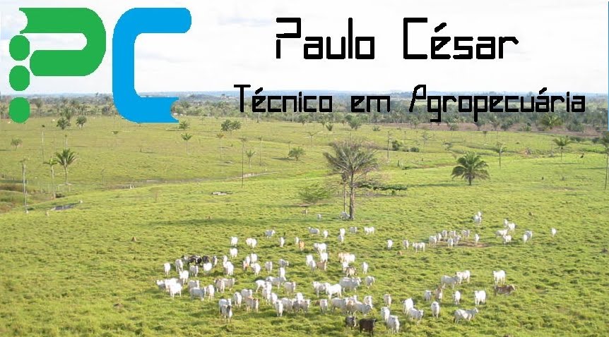 P.C Consultoria Agropecuária