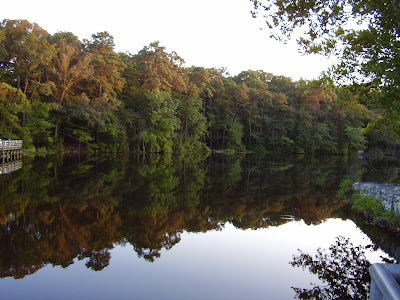 colors of fall photography