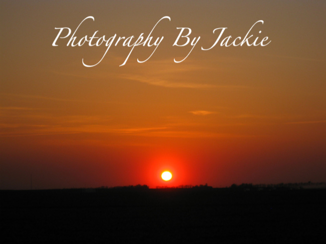 Photography By Jackie