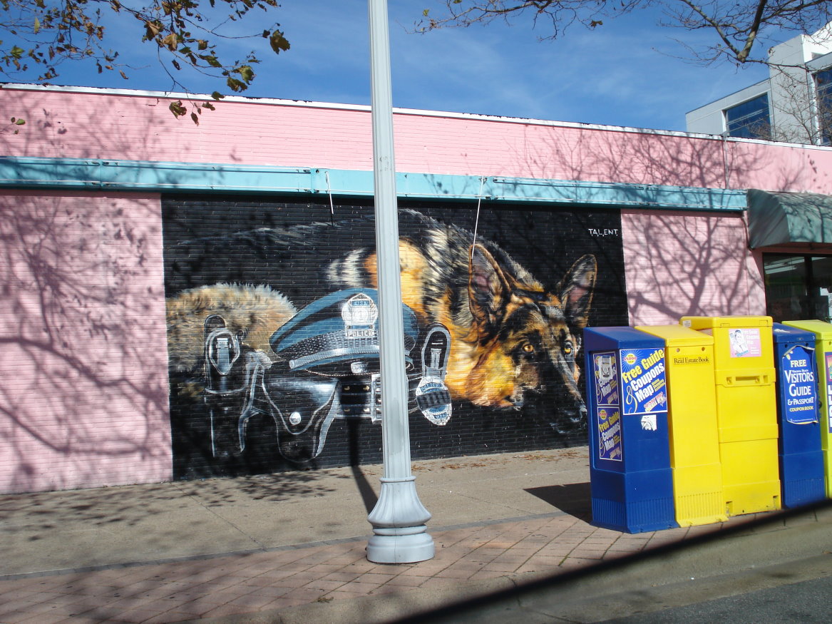 Katie's Clay Corner Virginia Beach's Murals.....