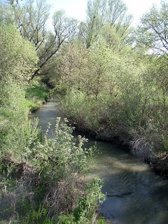 Putah Creek