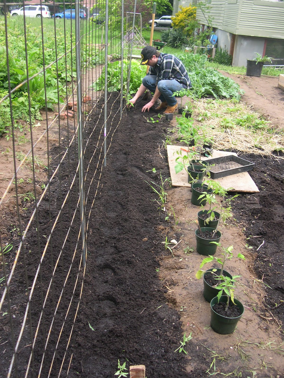 Stanton St. Farms Trellis Built, Tomatoes Planted!!!