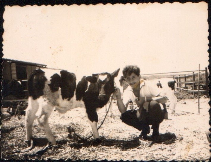 [חקלאי+במשק.jpg]