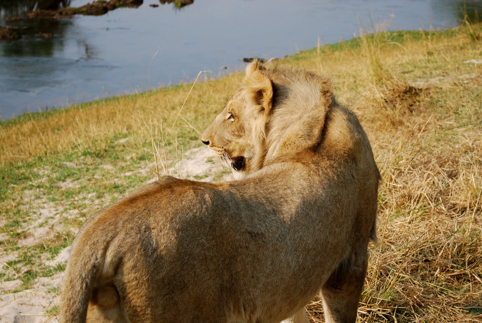 [DSC_0777_02.JPG]