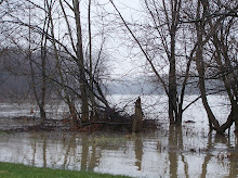 Maumee River Flood