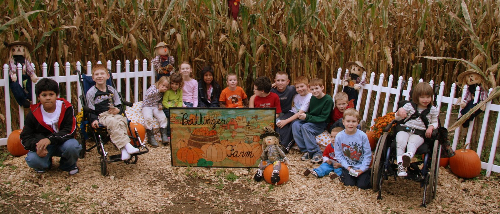Ballinger Farm Crazy Maze Groups