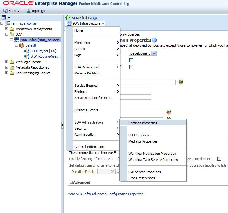 Learning SOA: Not able to see complete Flow in SOA 11.1.1.3