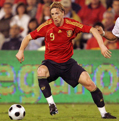 Fernando Torres World Cup 2010 Spain Football Player