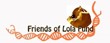 Friends of Lola