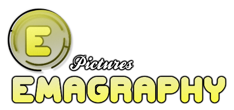 Create Your Wedding Moments!