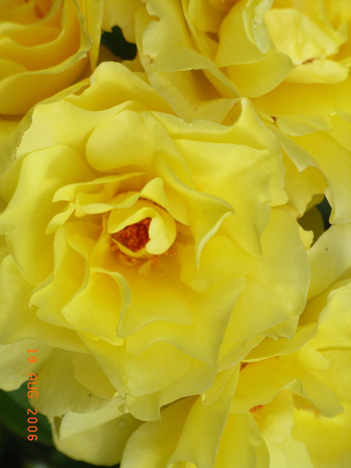 Dies Und Das Vom Neckarstrand Februar 2011