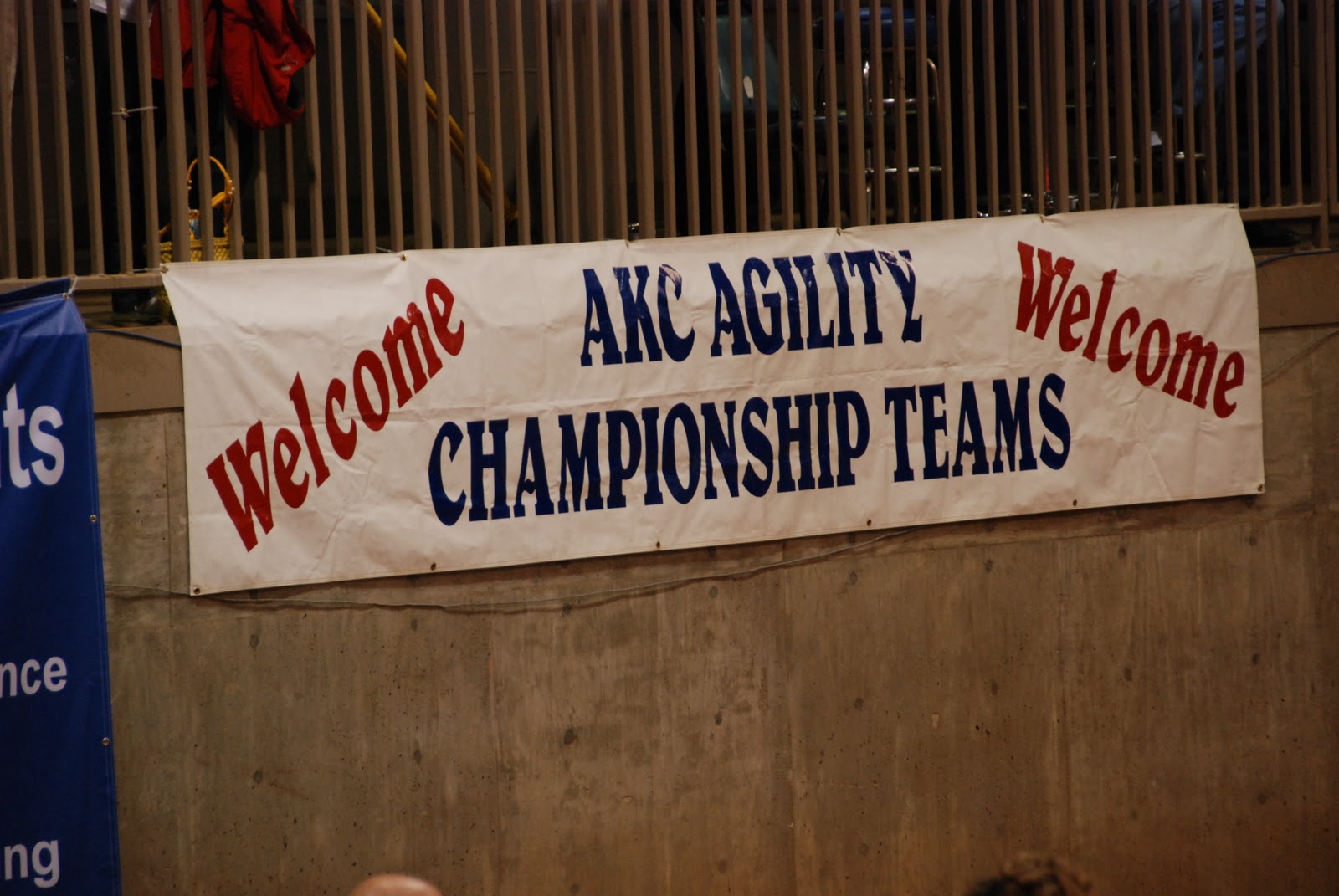 smooth-sailin-agility-national-agility-events-akc-and-usdaa