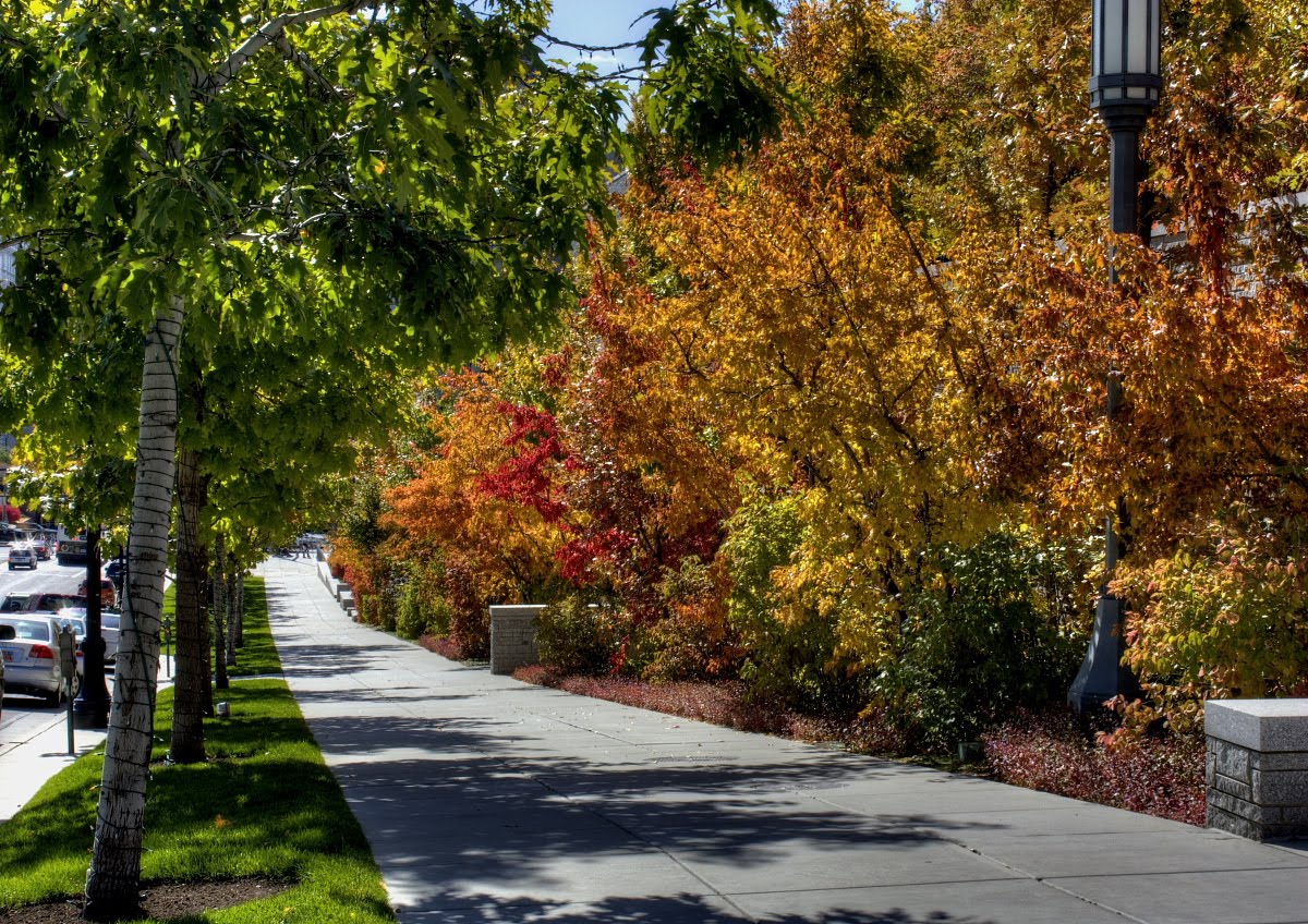 [Fall+sidewalk+HDR.JPG]