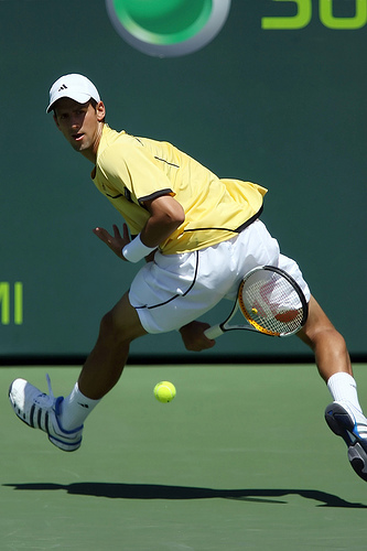 [novaj+djekovic+fredfafa.jpg]