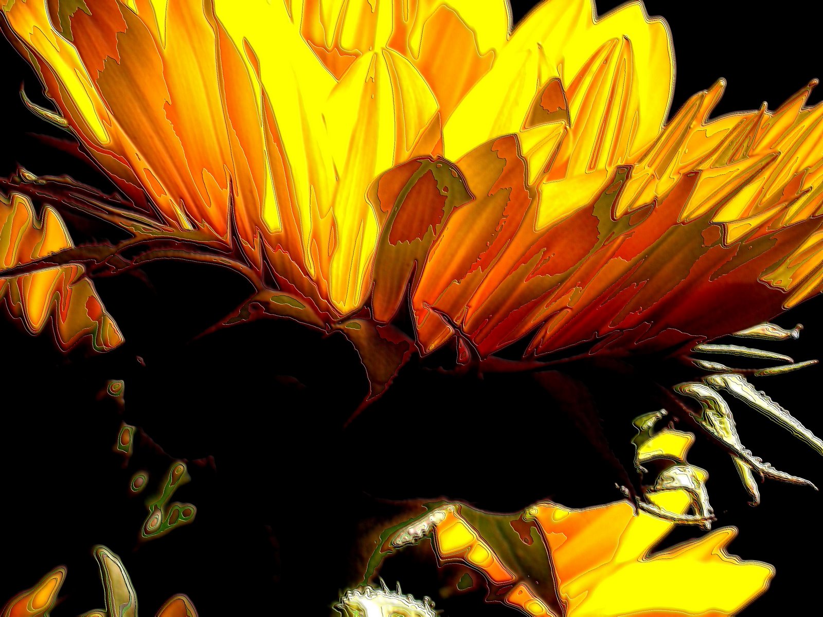 [sunflower+enamel3.jpg]