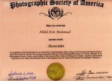 My Certificate
