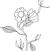 Risco de flor. Desenhos de flor para colorir e imprimir gratuitamente