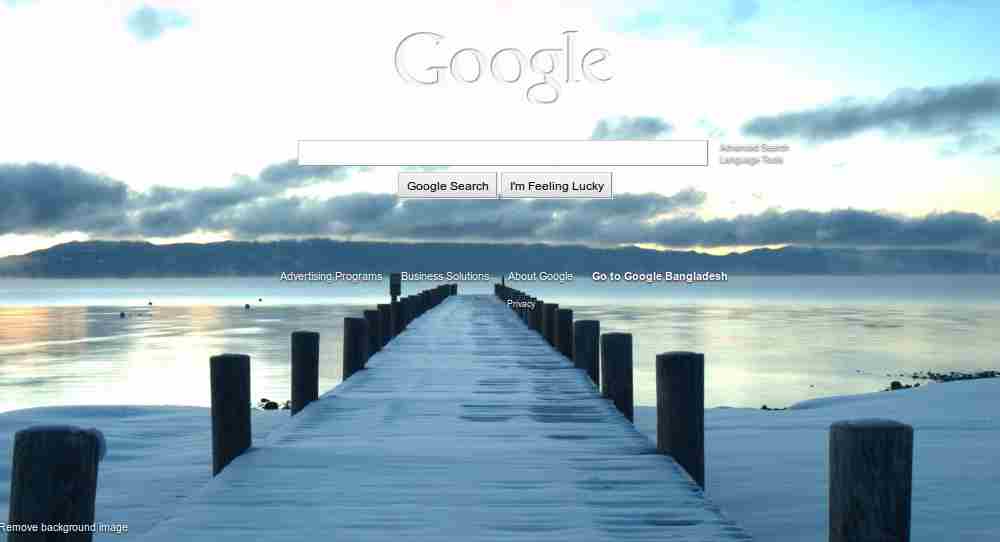 Google Homepage Background Net Gator
