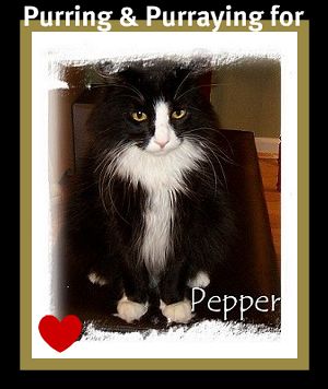 [Pepper-GetWell.jpg]