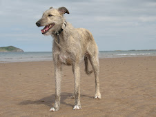 Amber xx