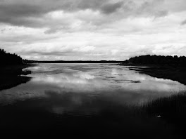 Pastales a lo Wallpaper