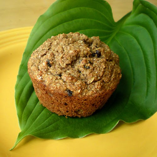 Low Fat High Fiber Muffins 43