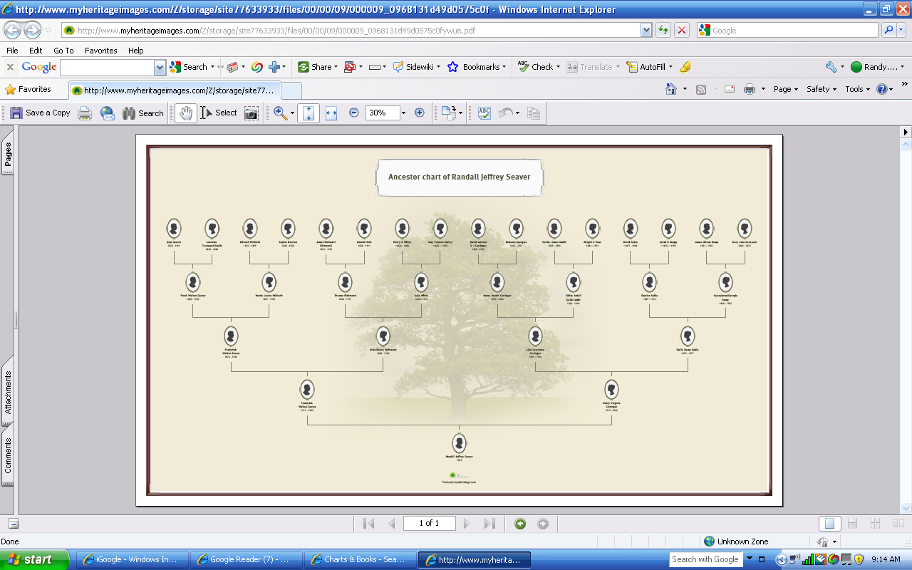 GeneaMusings Checking out the new MyHeritage Charts