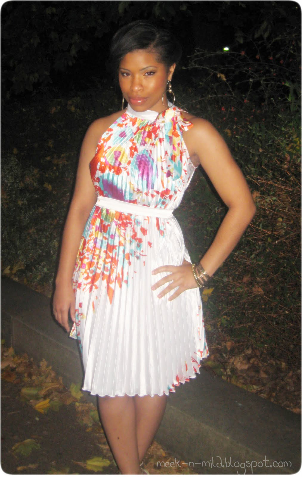 [elegant+lady+copy+copy.jpg]