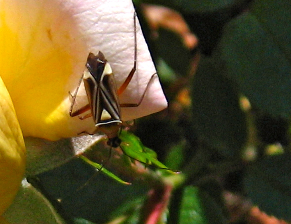 [IMG_2179+copy.jpg]
