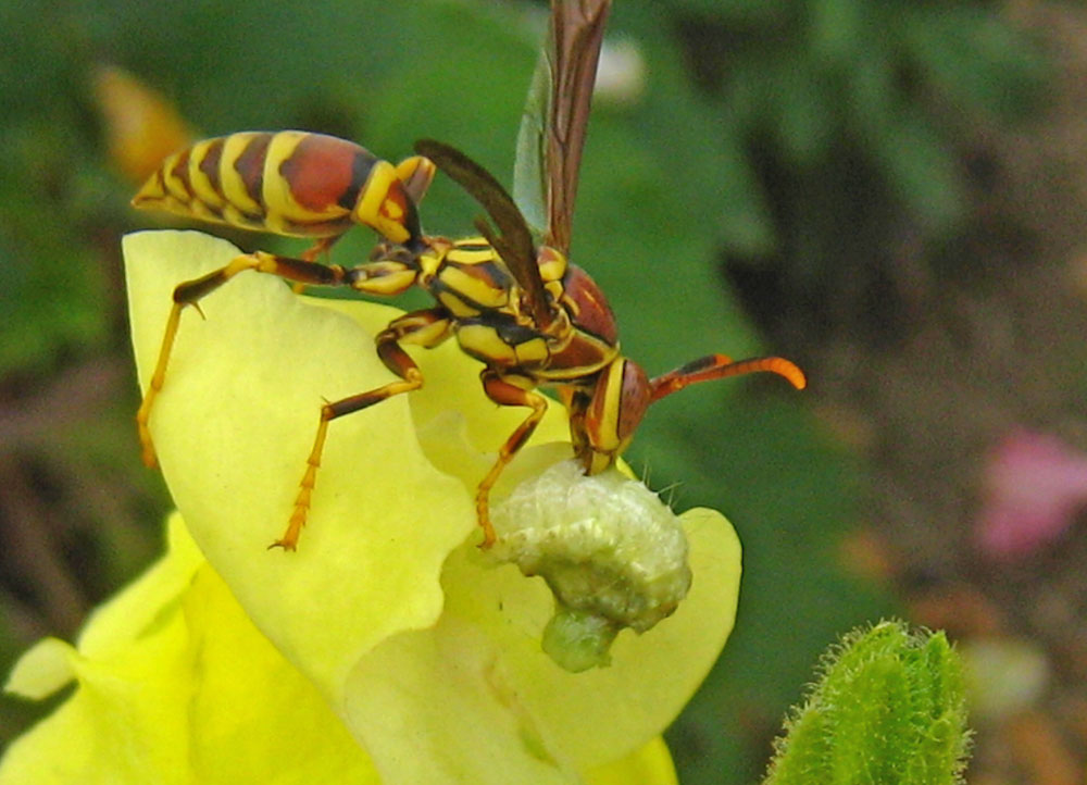 [IMG_12166.jpg]