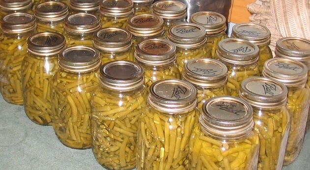 [Canned+Green+Beans.JPG]