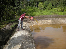 Keli Project