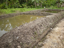 Keli Project