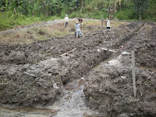 Keli Project
