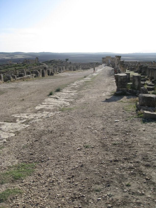 [volubilis1.jpg]
