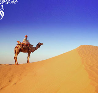 http://1.bp.blogspot.com/_JHj560N13Sc/SQQrF6anHYI/AAAAAAAAAMY/9GuwFSaEoSY/s320/Rajasthan-Camel-Safari_imag.jpg