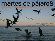 poesía de pájaros