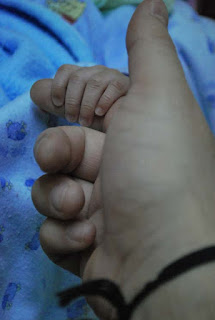 una manita de bebe sujetando el dedo de un adulto