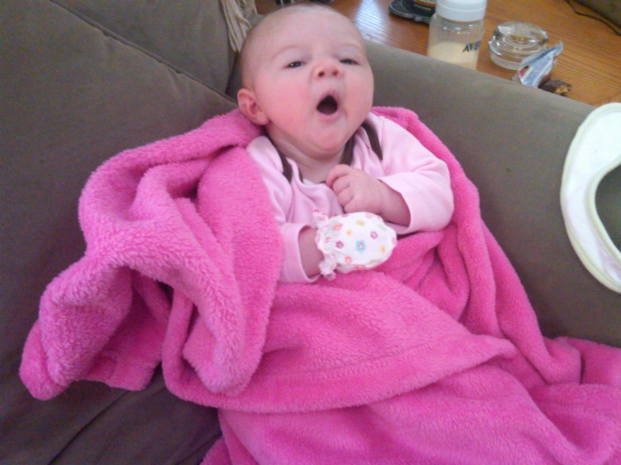 the start of something great 8 Weeks Old!