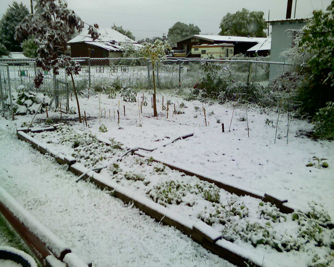 [June+Snow+011.jpg]
