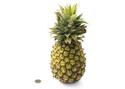 [33-pineapple.jpg]