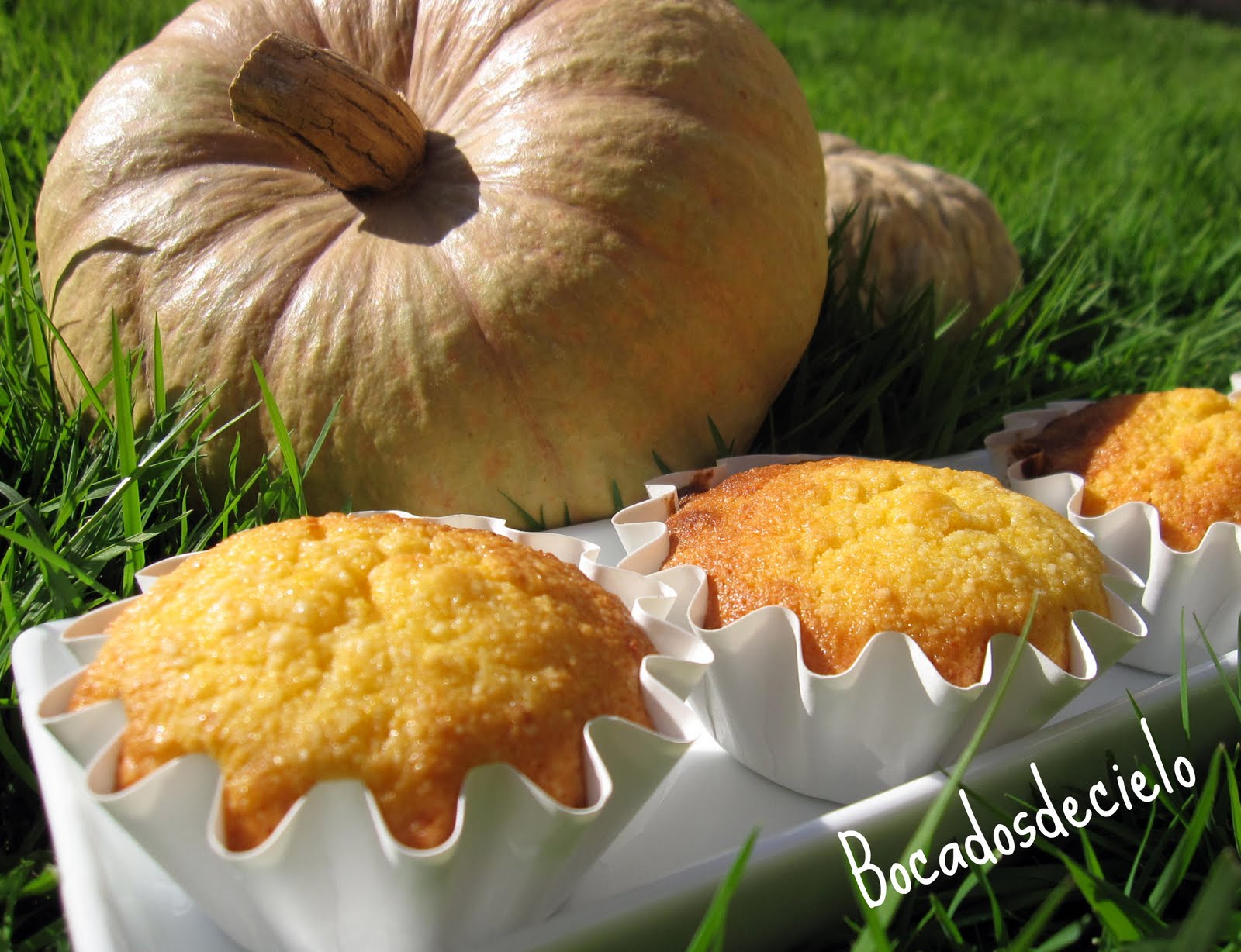 Muffins de calabaza