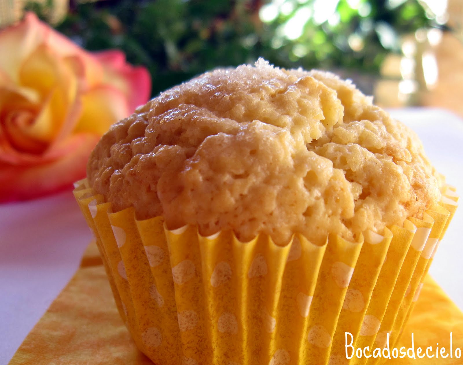 Muffins limónlimón