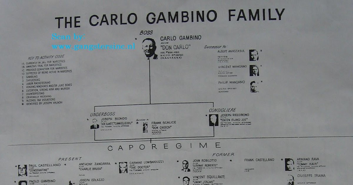 HMW: THE GAMBINO FAMILY - REPOST By LM