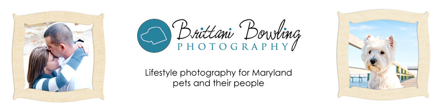 Brittani Bowling Photography » the blog
